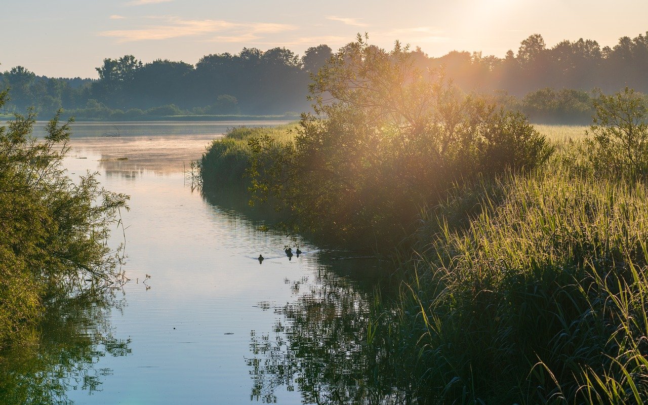morning mood, nature, sunrise